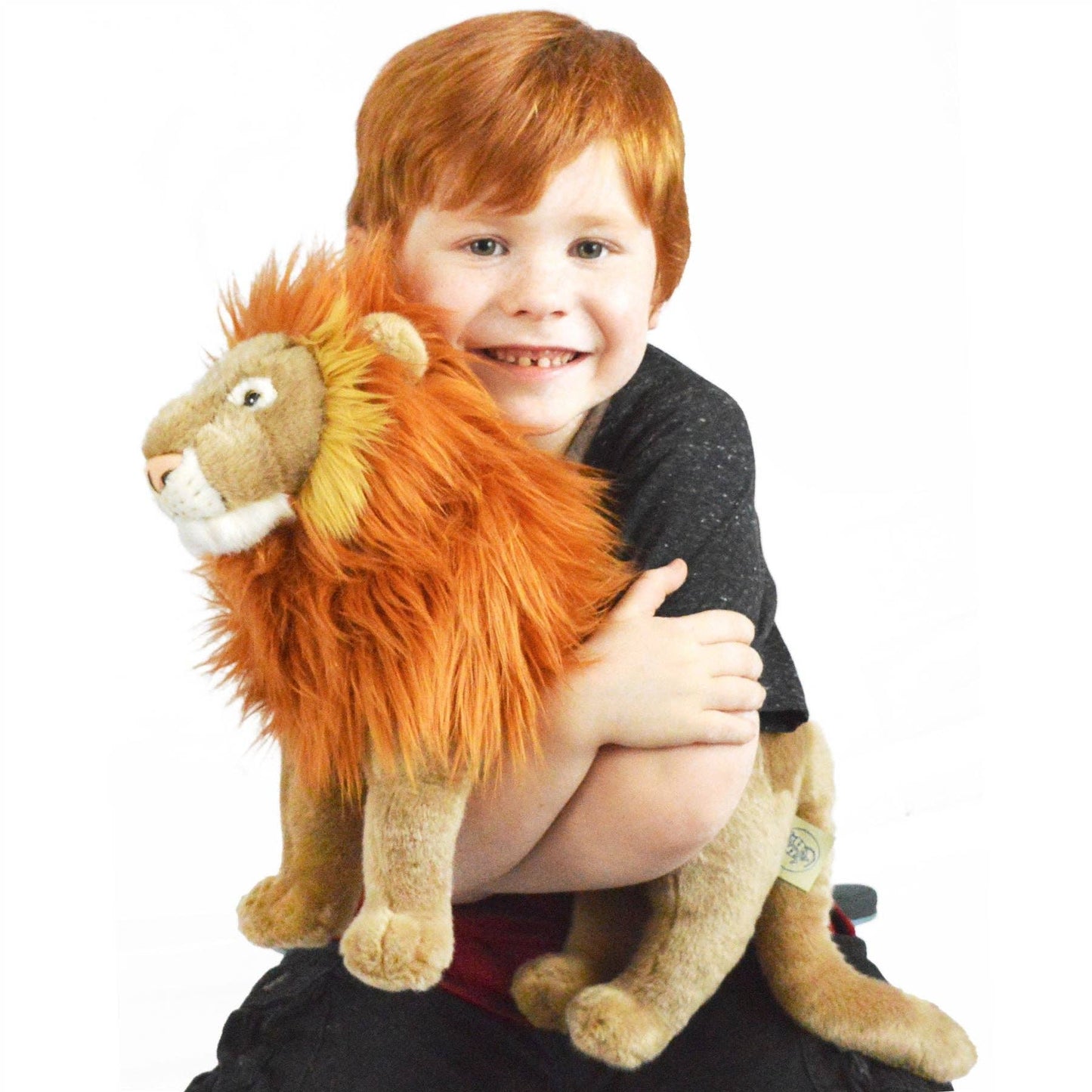 Leif The Lion Personalized Stuffed Lion for Baby Girl or Boy – Custom Jungle King Plush Gift