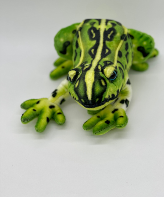Frisco The Frog Personalized Stuffed Frog for Baby Girl or Boy – Custom Pond Plush Gift