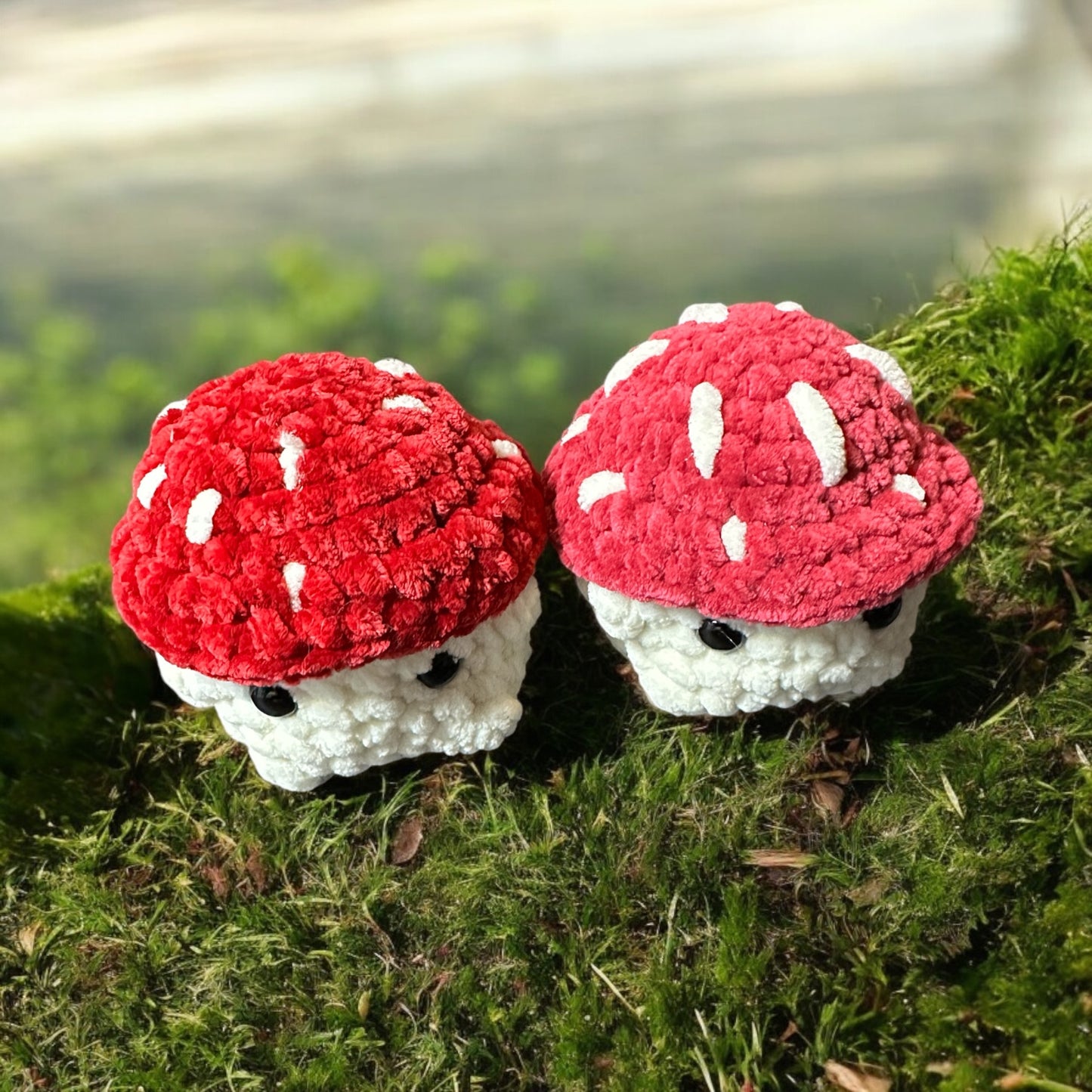 Mushrooms boys