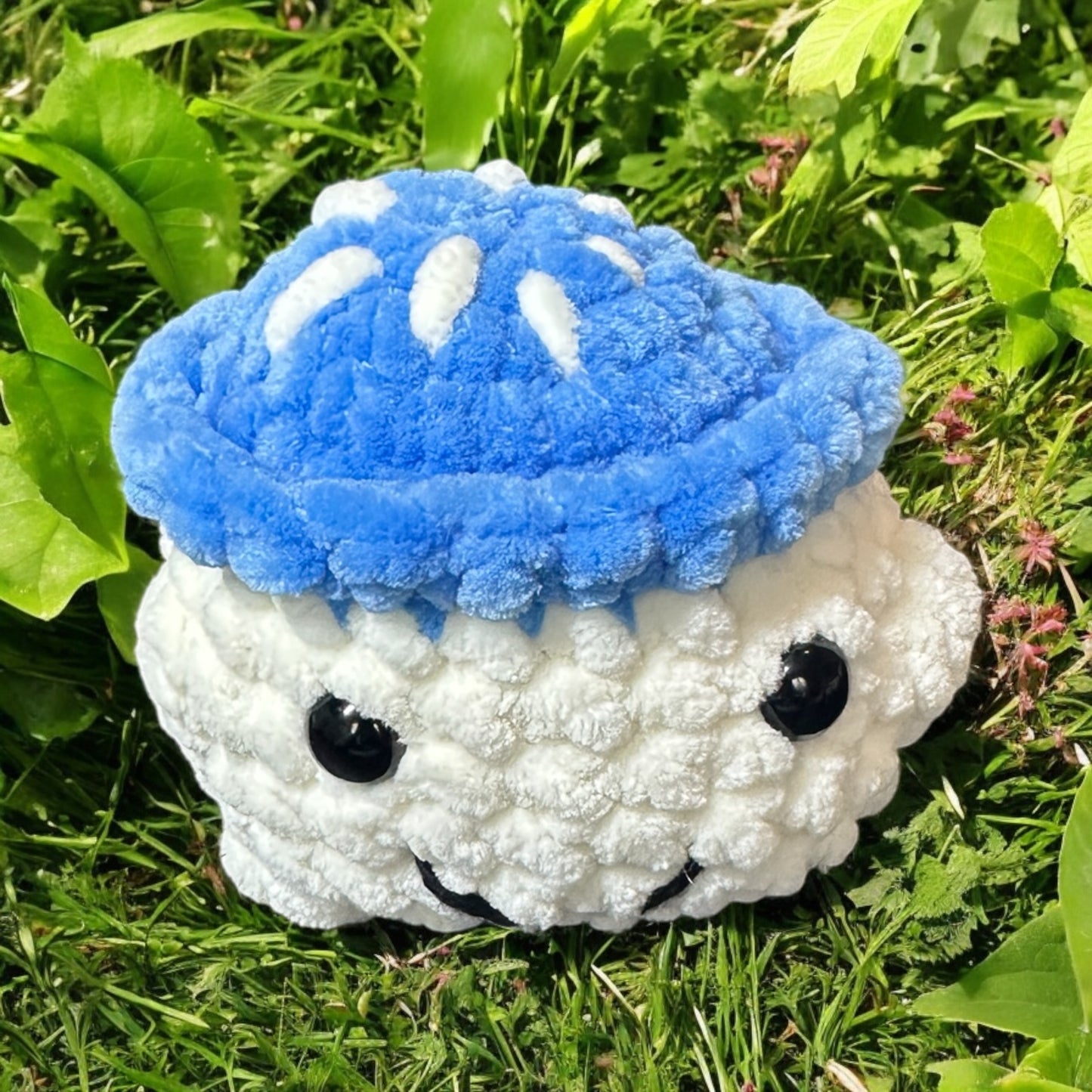 Mushrooms boys