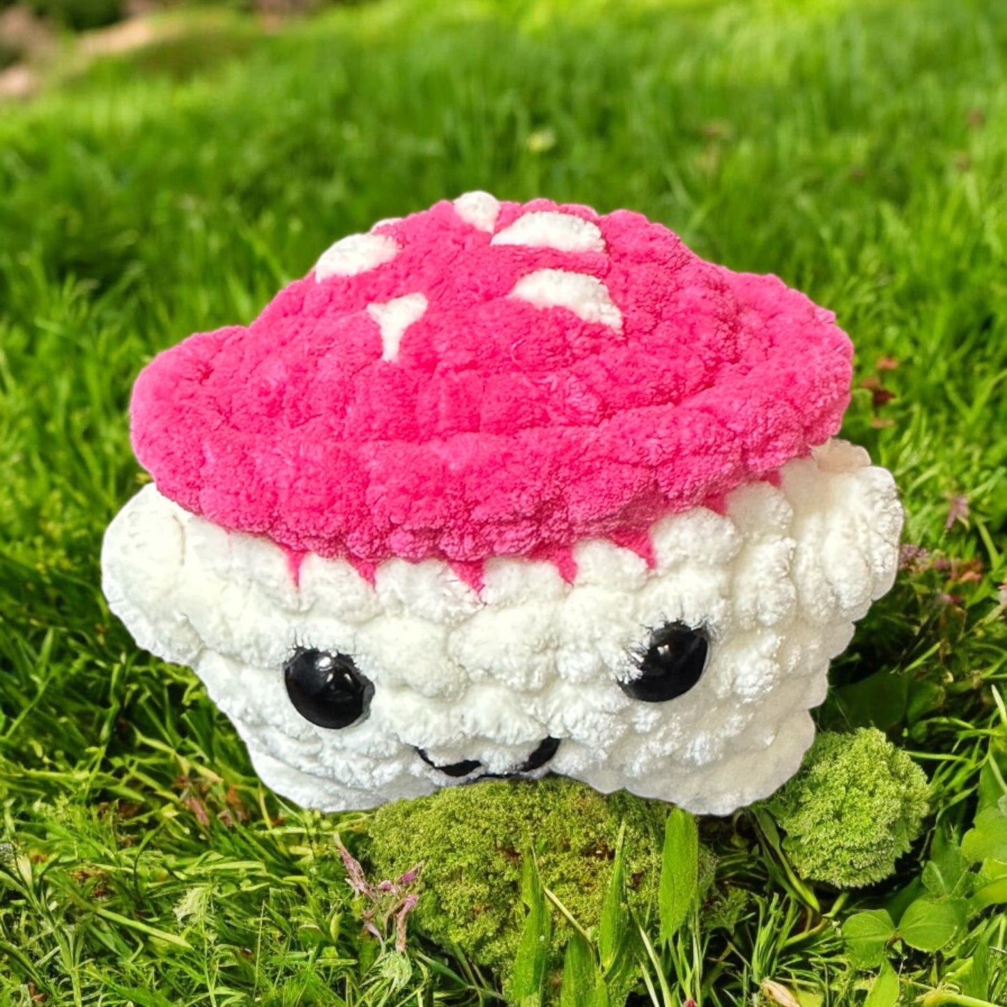 Mushrooms boys