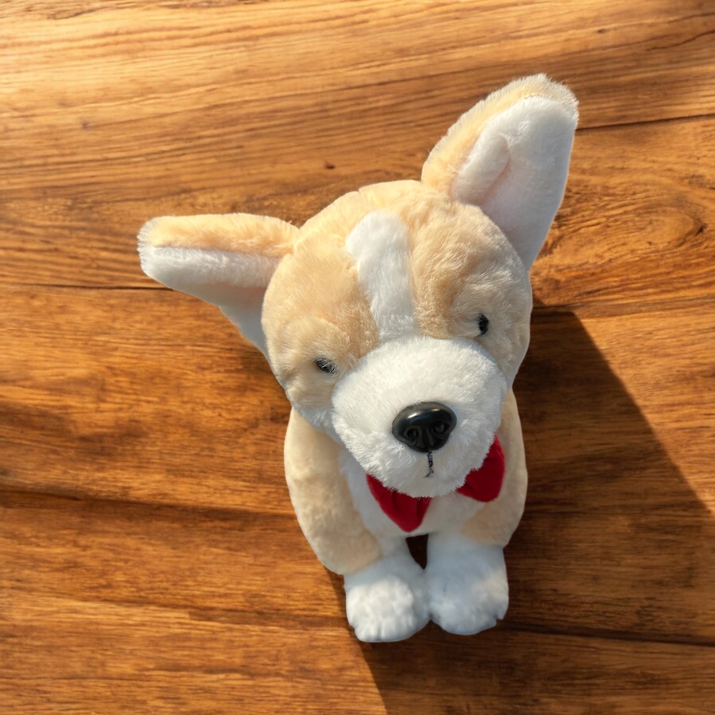 Corgi with Red Bow