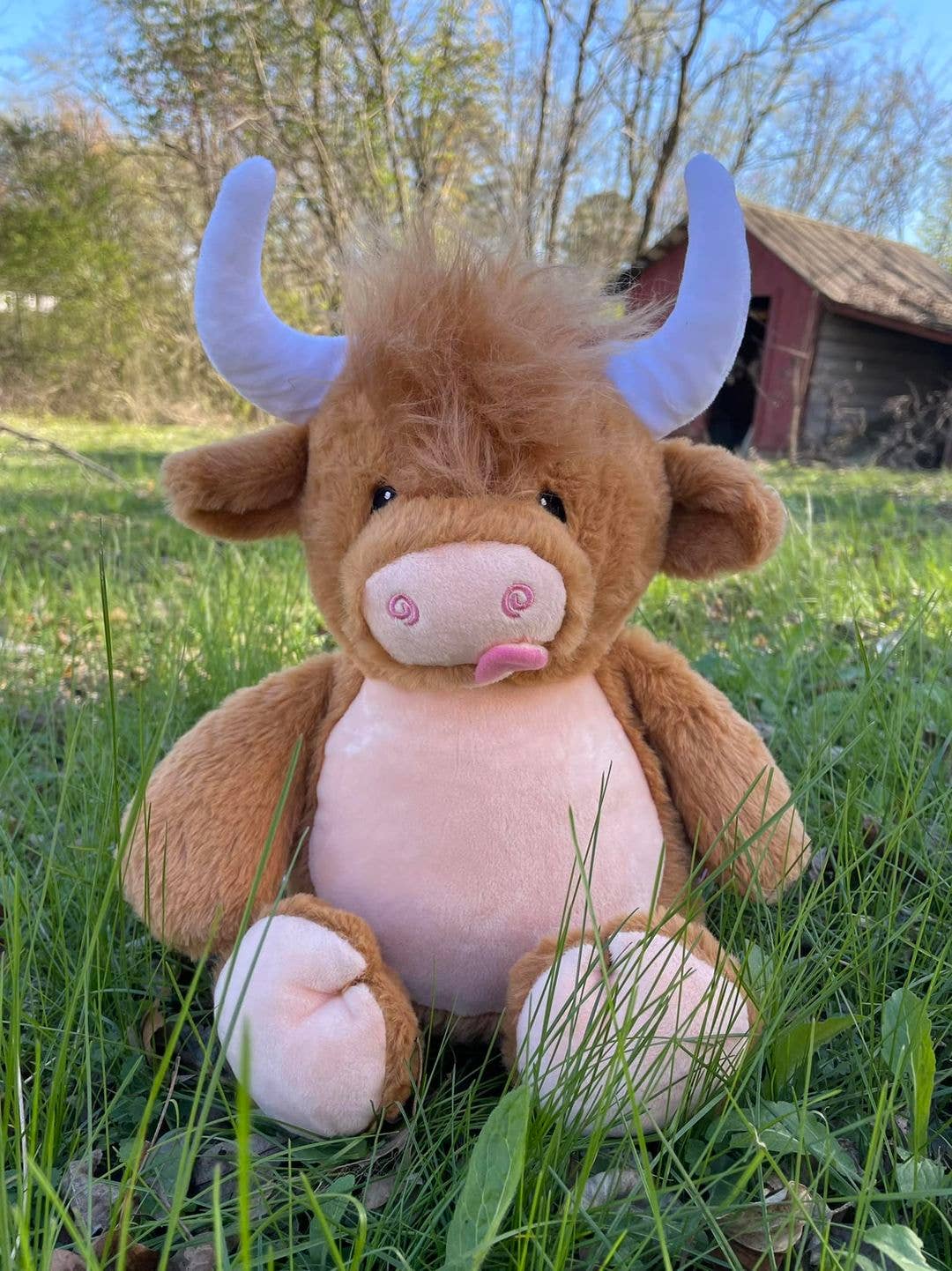 Highland Cow Personalized Bear Stuffed Animal, Personalized Baby Gift, Birth Announcement Stuffed Animal, Birth Stats stuffed animal, Newborn Gift