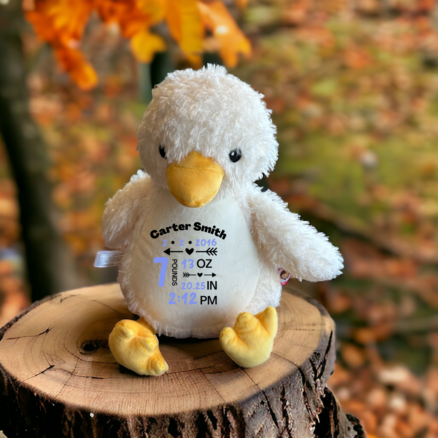 Personalized Duck Stuffed Animal, Personalized Baby Gift, Birth Announcement Stuffed Animal, Birth Stats stuffed animal, Newborn Gift