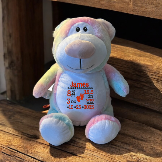 Rainbow Bear Birth Announcement Embroidery Animal