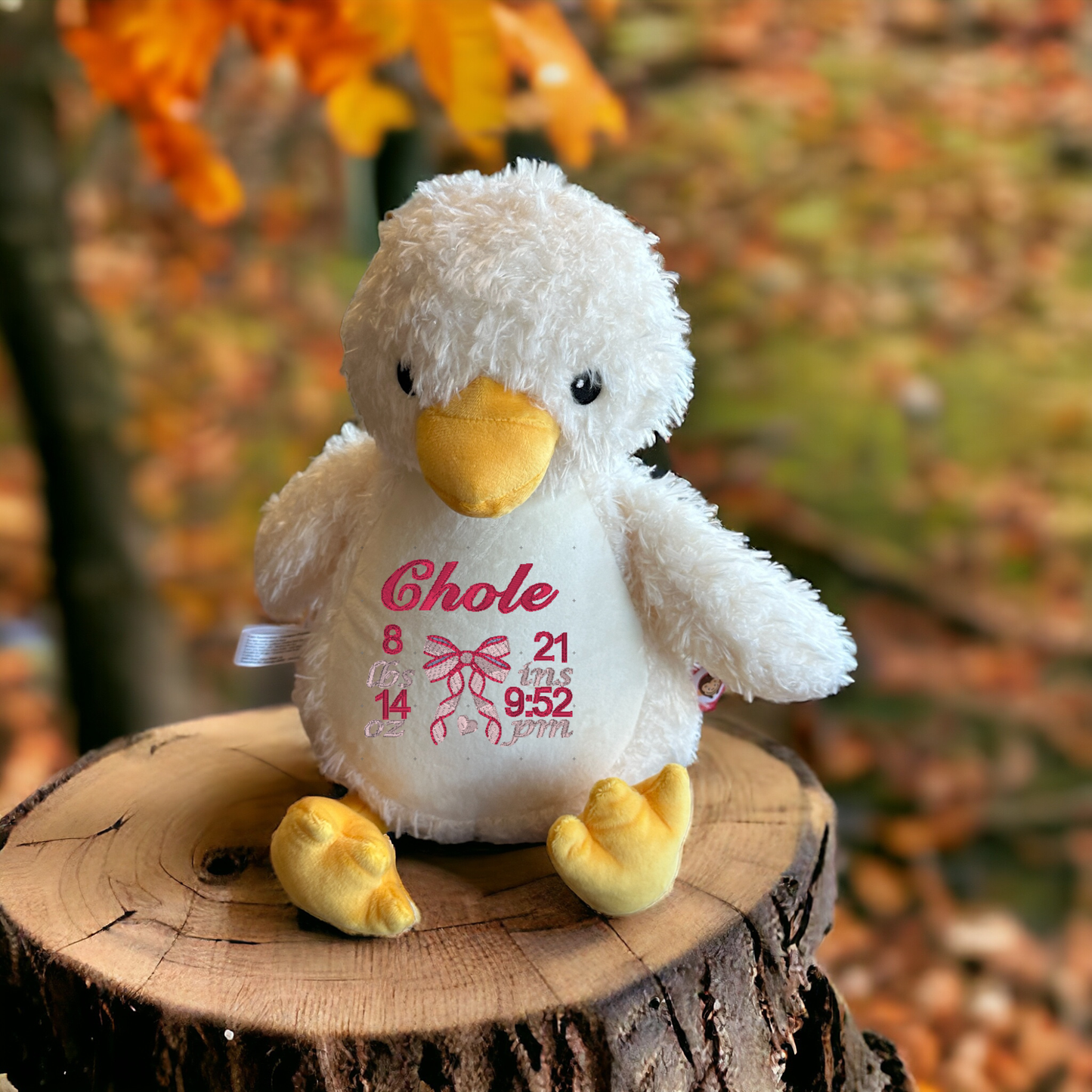Birth Announcement Bow Embroidery Animal