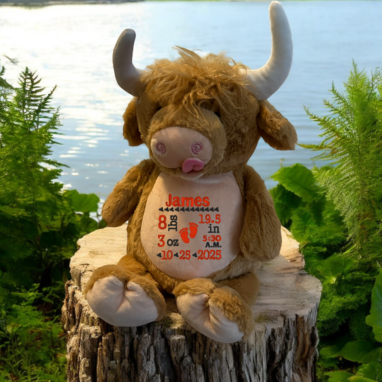 Highland Cow Birth Announcement Embroidery Animal