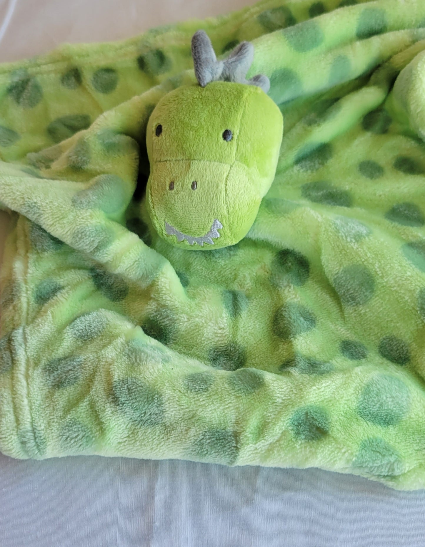 Green Dino Snuggie