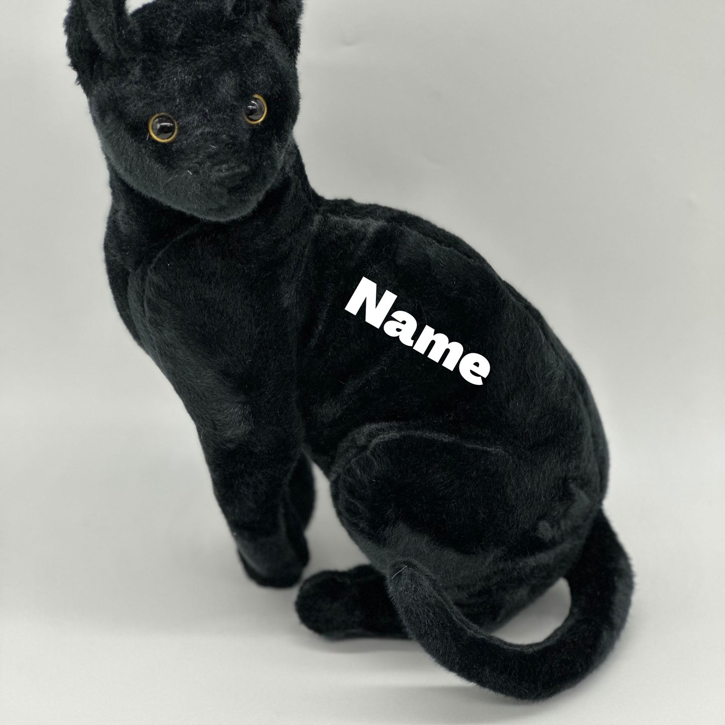 Boone The Black Cat