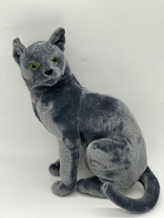 Gray Cat