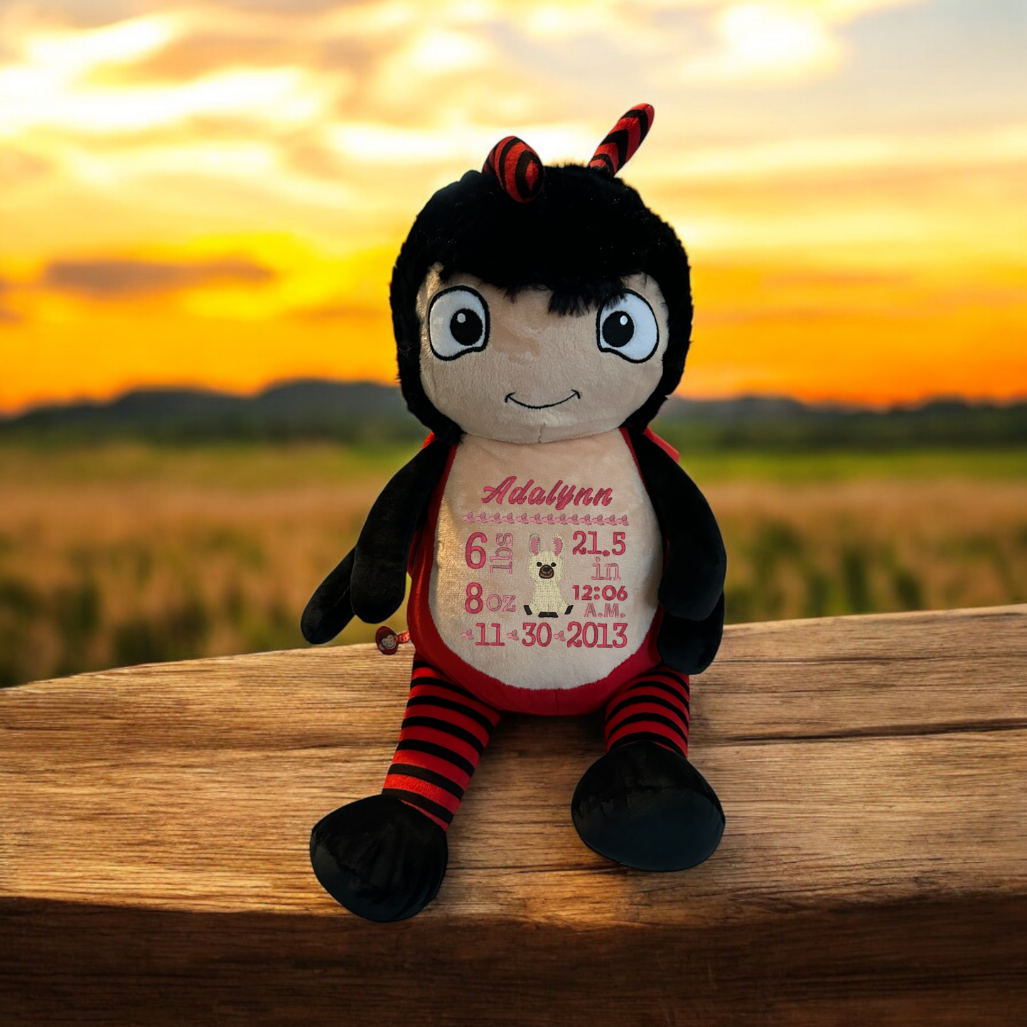 Lady Bug Birth Announcement Embroidery Animal