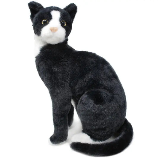 Tuxedo black cat