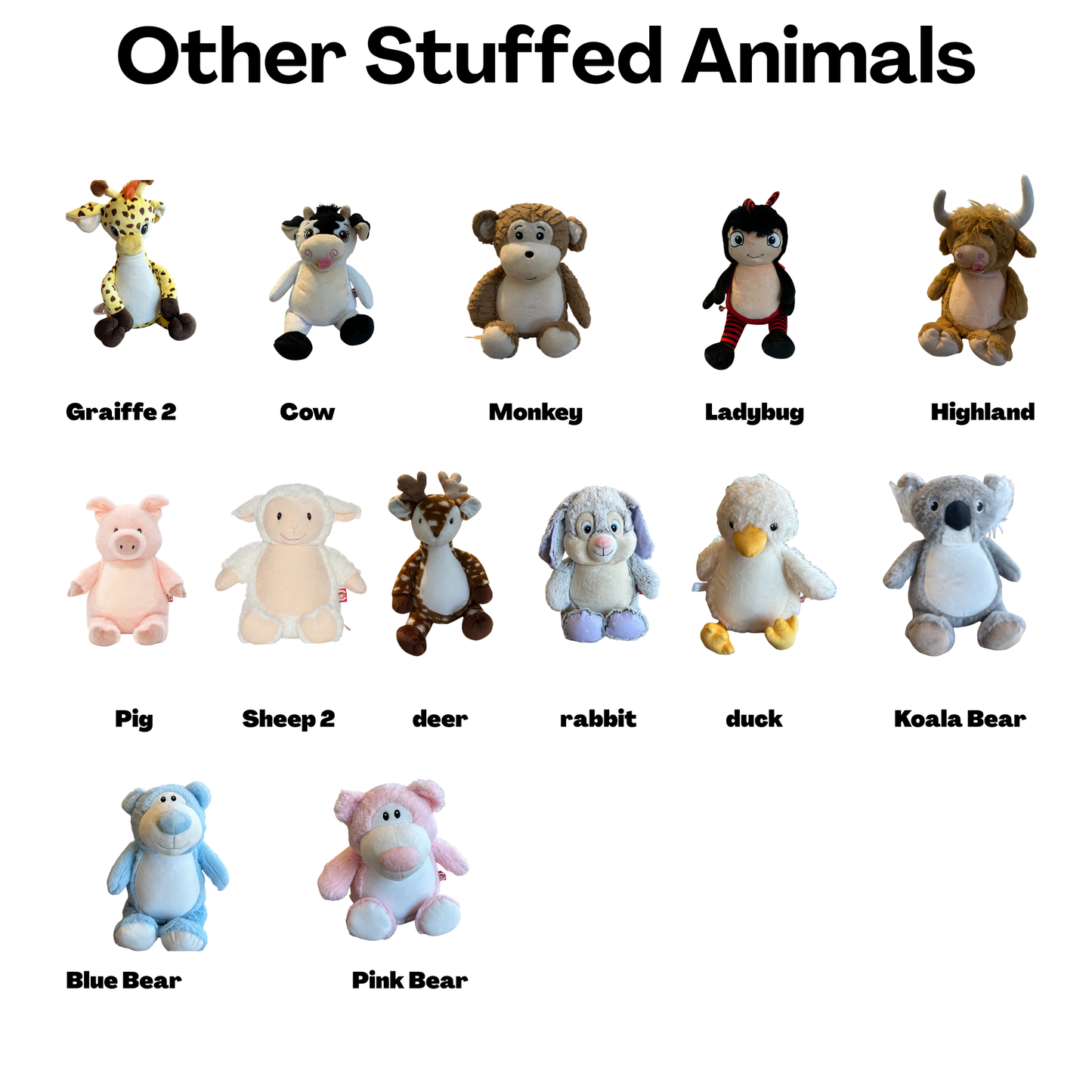 Raccoon Birth Announcement Embroidery Animal