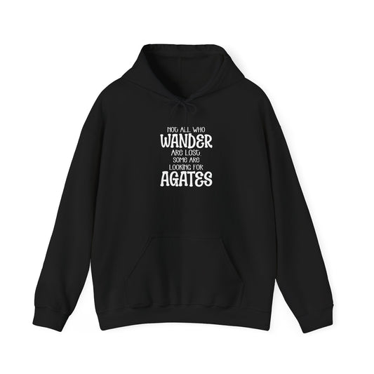 Not all who wander are lost hoodies