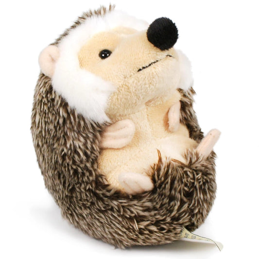 Brown hedgehog