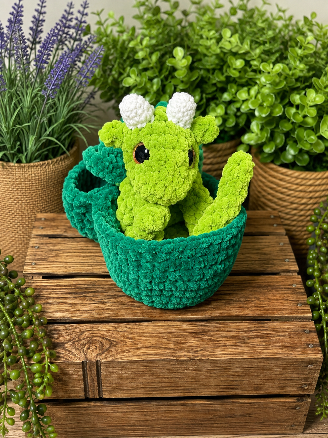Dragon in eggs