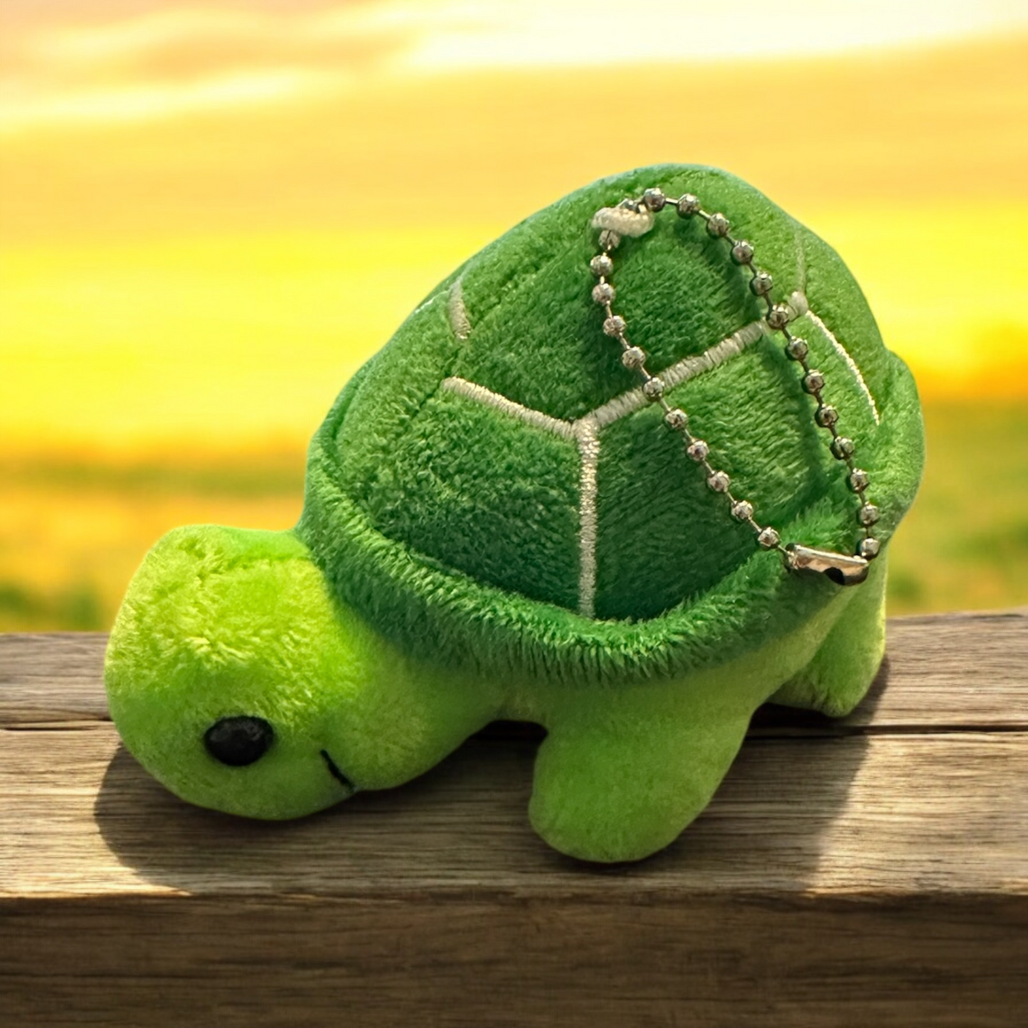 Turtle keychains