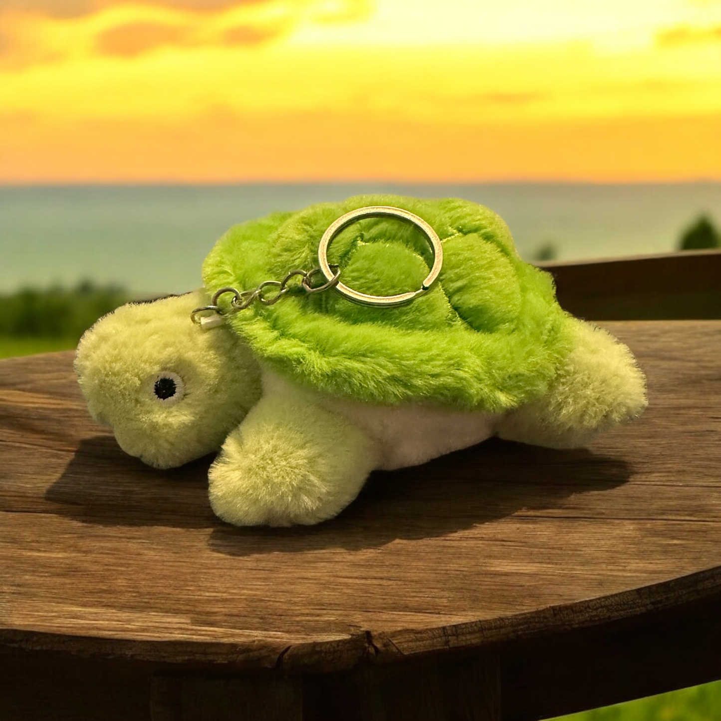 Turtle keychains