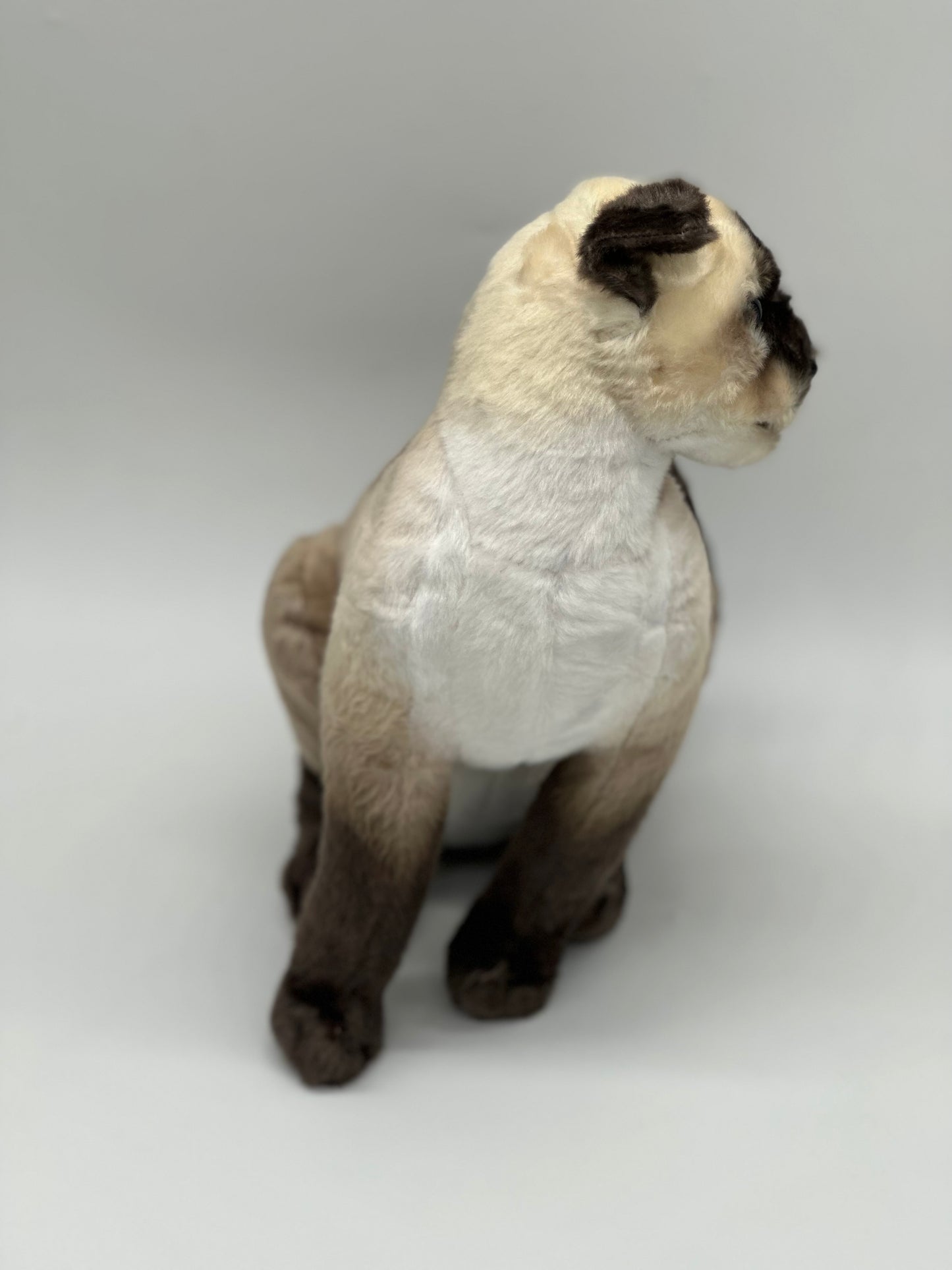 Stefan The Siamese Cat | 13 Inch Stuffed Animal Plush