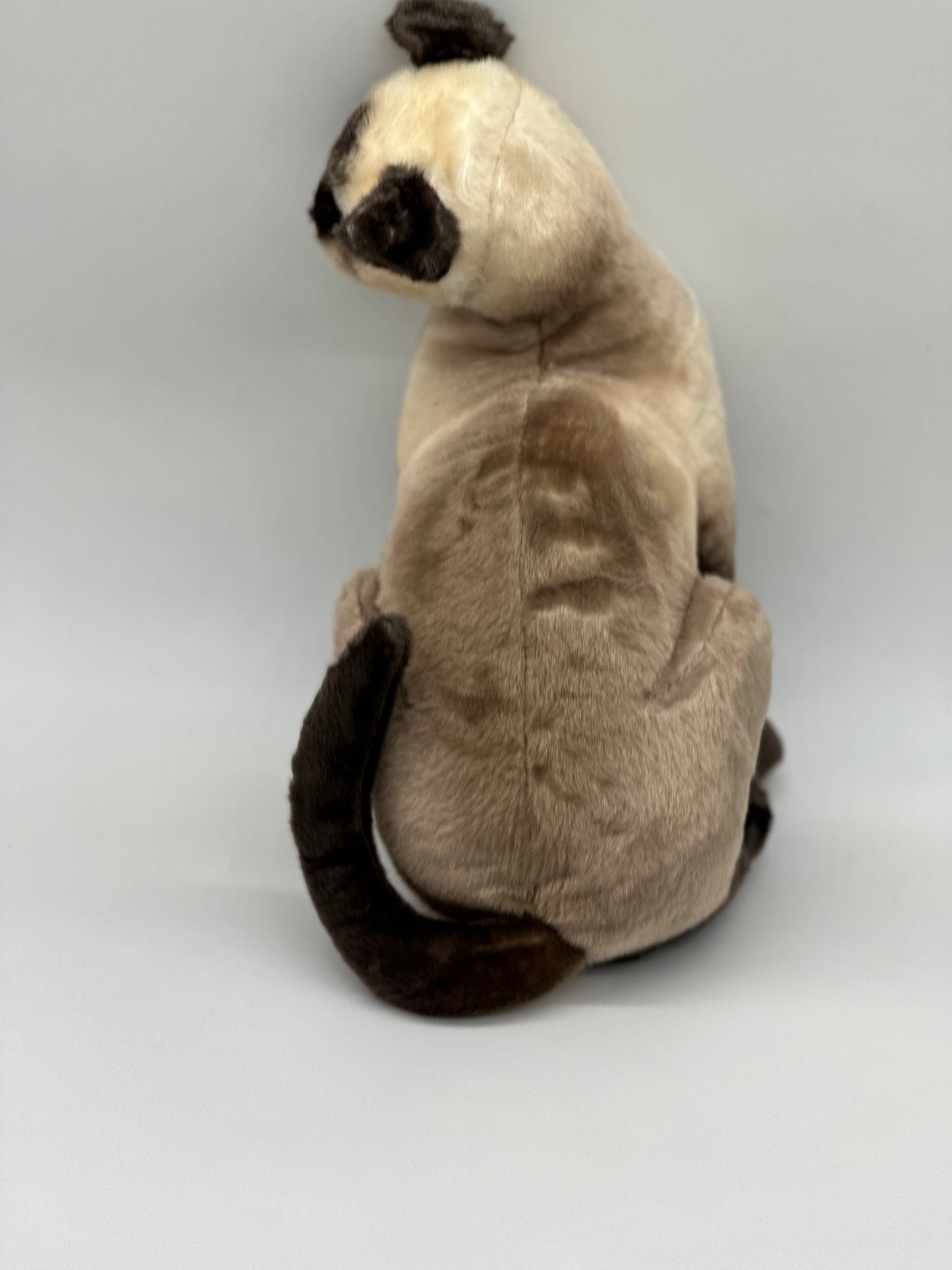 Stefan The Siamese Cat | 13 Inch Stuffed Animal Plush