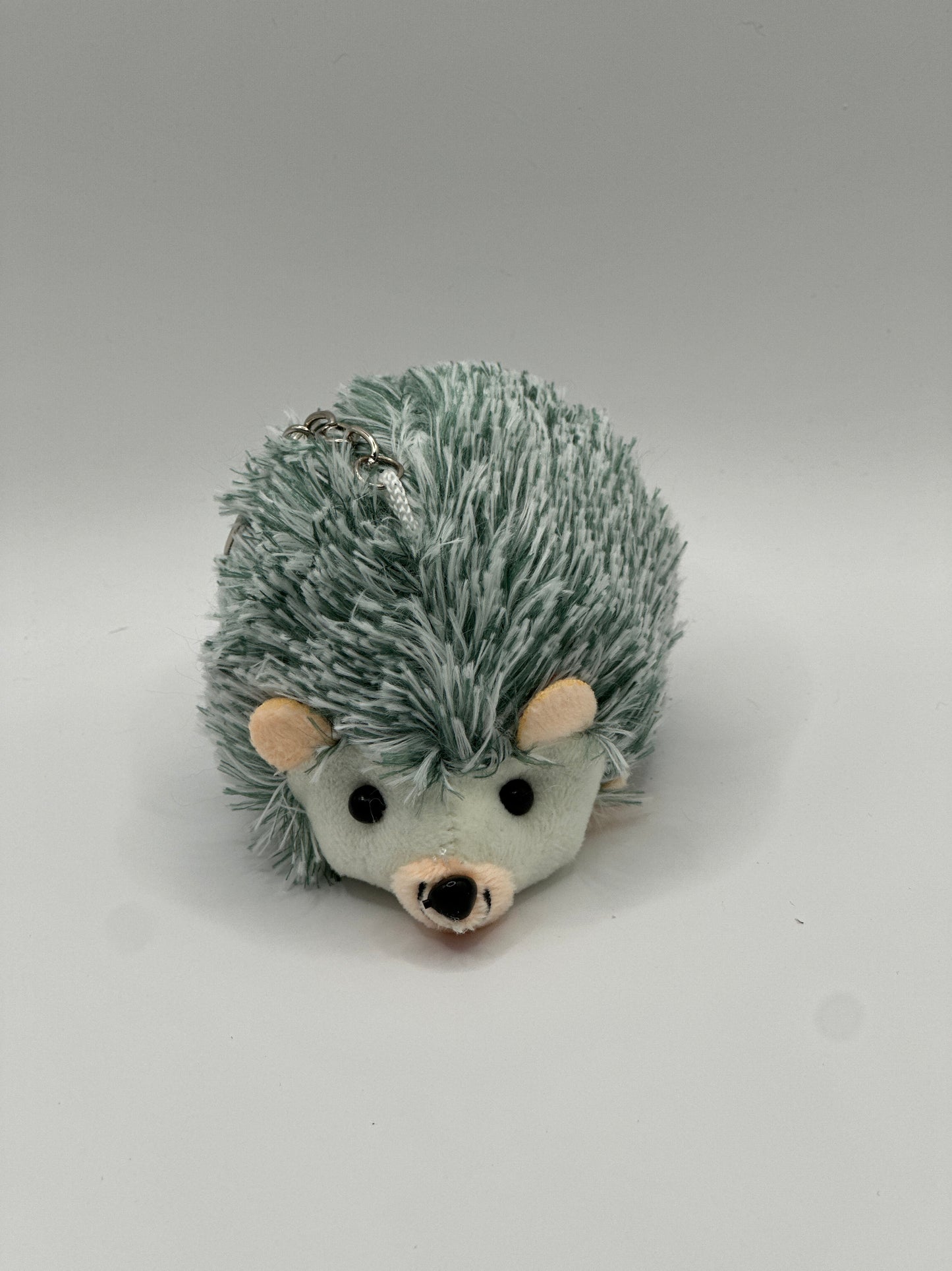 Green hedgehog Keychain