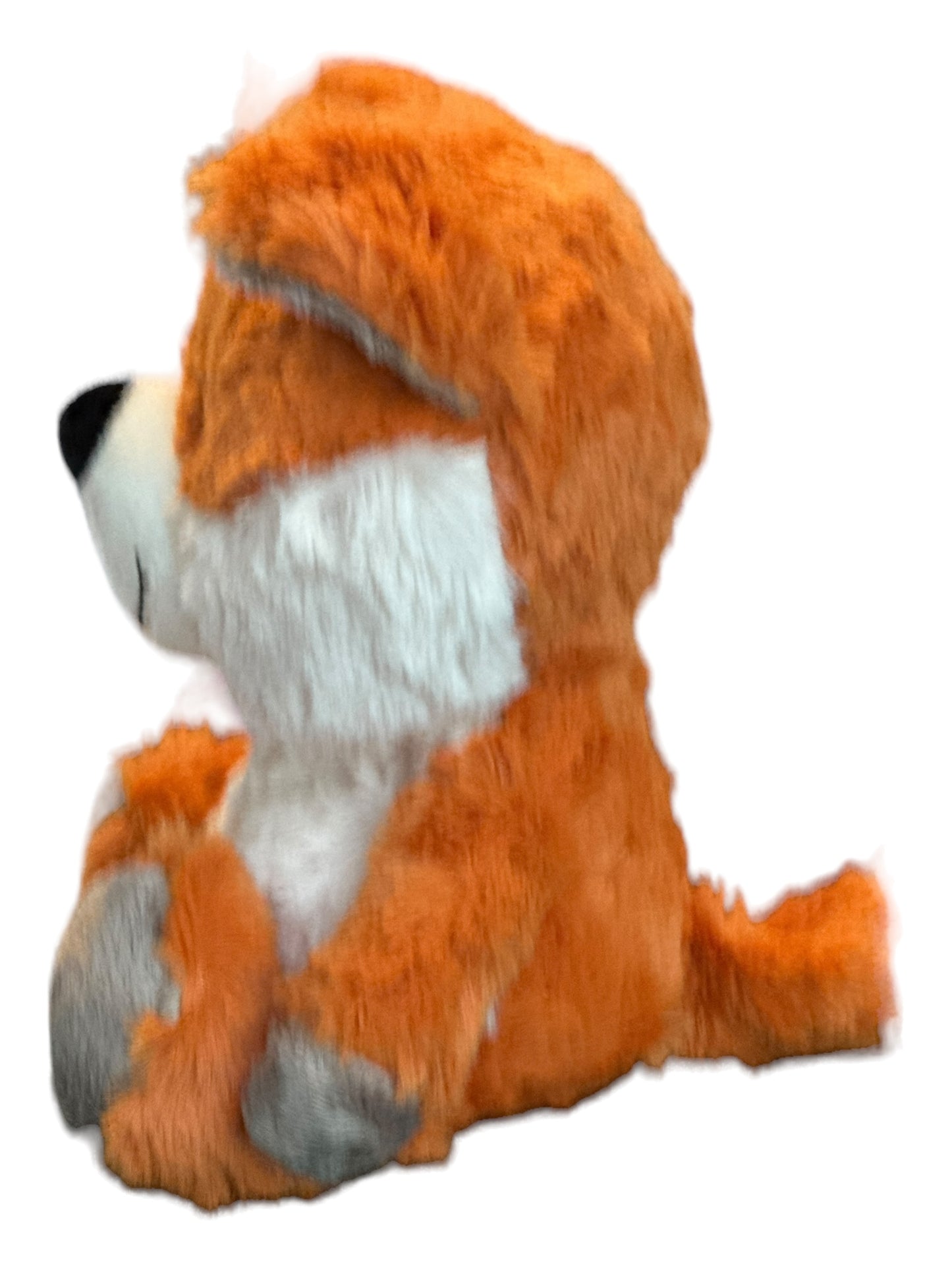 Fox